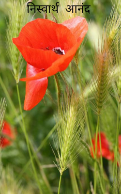 निस्वार्थ  आनंद