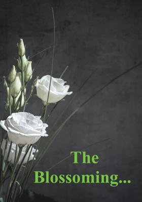 The Blossoming...