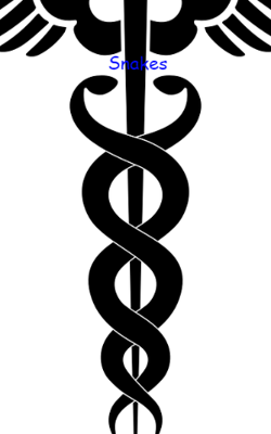 Snakes