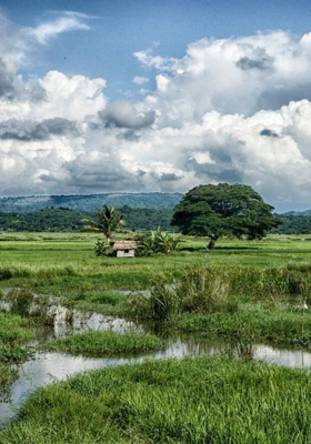 ବିଦ୍ୟାଳୟର ଖୁସି