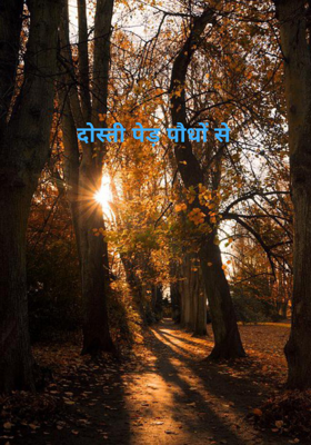 दोस्ती पेड़ पौधों से