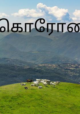 கொரோனா
