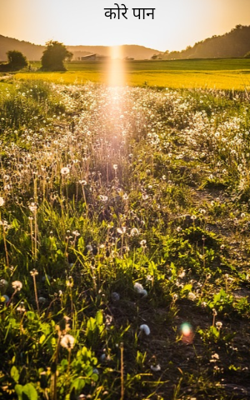 कोरे पान