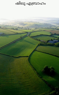 ഷിലു എബ്രാഹം