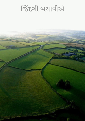 જિંદગી બચાવીએ