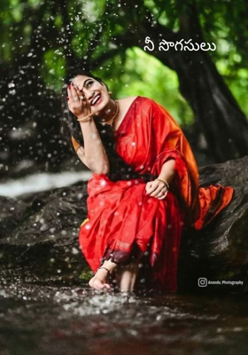 నీ సొగసులు