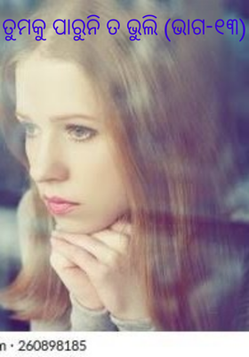 ତୁମକୁ ପାରୁନି ତ ଭୁଲି (ଭାଗ-୧୩)