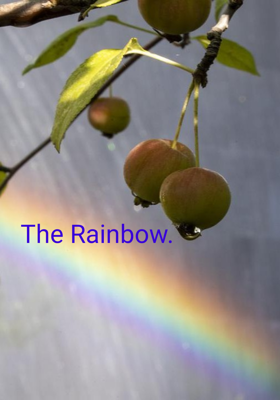 The Rainbow