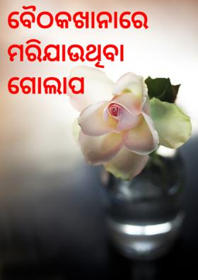 ବୈଠକଖାନାରେ ମରିଯାଉଥିବା ଗୋଲାପ