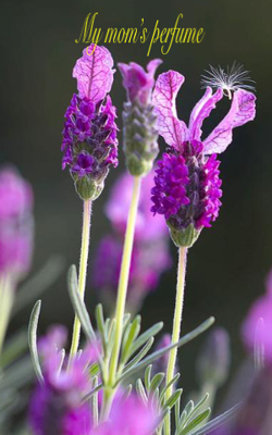 My Mom’s Perfume