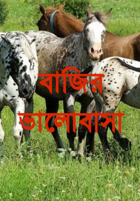 বাজির ভালোবাসা