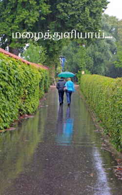 மழைத்துளியாய்....