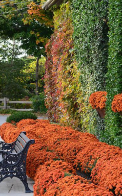 Love Is Sweet And Sour