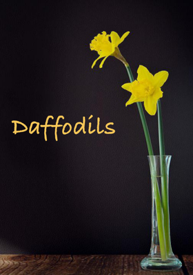 Daffodils
