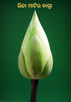 ଭିଜା ମାଟିର ବାସ୍ନା