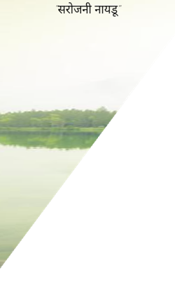 "सरोजनी नायडू"