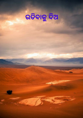 ଉଡିବାକୁ ଦିଅ