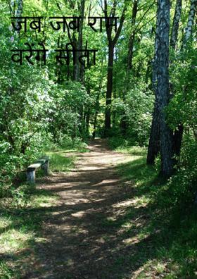 जब जब राम वरेंगे सीता