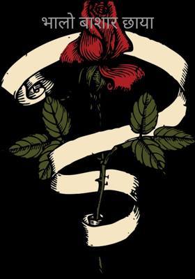 भालो बाशार छाया