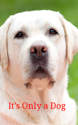 It's Only A Dog