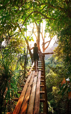 जीवनातील रंग