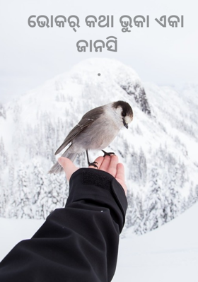 ଭୋକର୍ କଥା ଭୁକା ଏକା ଜାନସି .