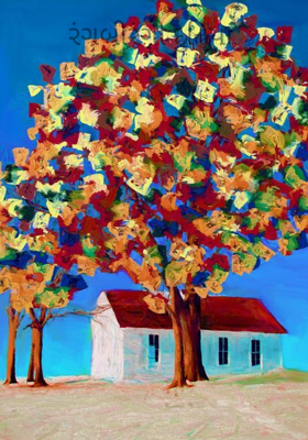 રંગબીરંગી દુનિયા