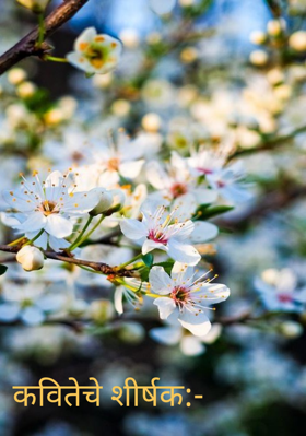 कवितेचे शीर्षक:-