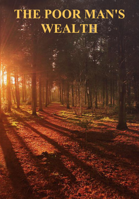 The Poor Man's Wealth