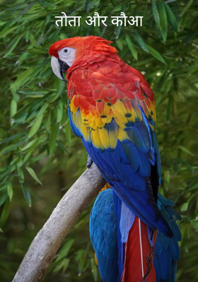 तोता और कौआ