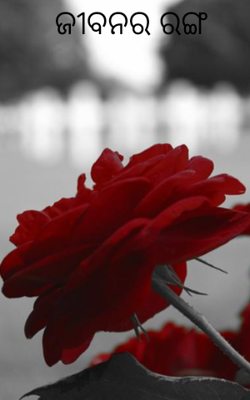 ଜୀବନର ରଙ୍ଗ