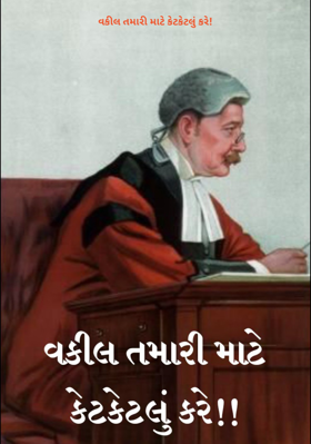 વકીલ તમારી માટે કેટકેટલું કરે