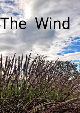 The  Wind