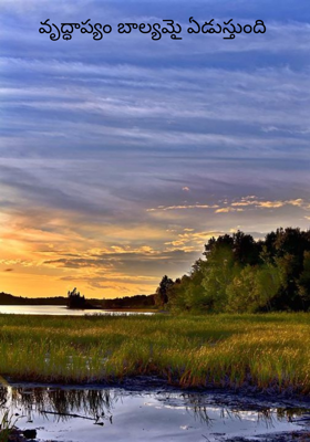 వృద్ధాప్యం బాల్యమై ఏడుస్తుంది