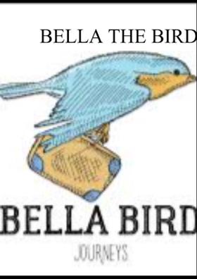 Bella The Bird