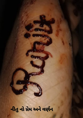 નીતુનો પ્રેમ અને વર્ણન