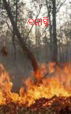 ବନାଗ୍ନି