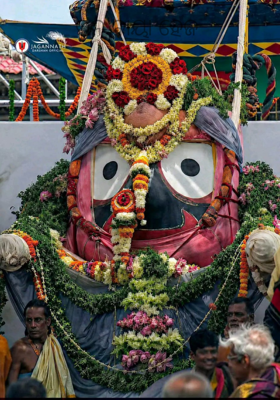 ମନ ବାୟା ହେଜ 