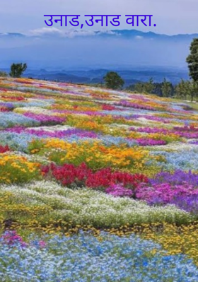 उनाड, उनाड वारा