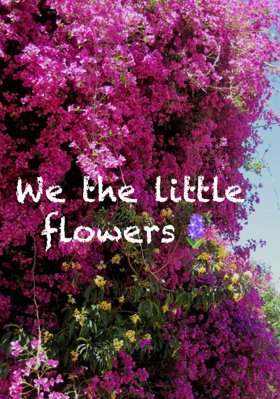 We The Little Flowers🪻