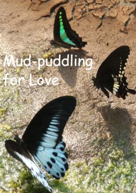 Mud-Puddling For Love