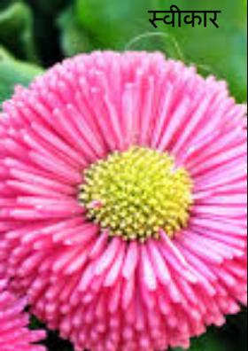 स्वीकार