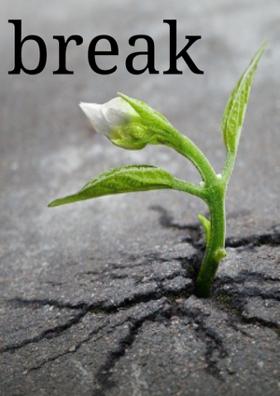 the Break