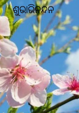 ଶୁଭାଭିନନ୍ଦନ