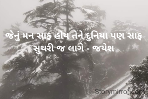 જેનું મન સાફ હોય તેને દુનિયા પણ સાફ સુથરી જ લાગે - જયેશ