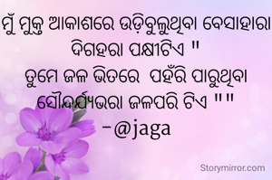 ମୁଁ ମୁକ୍ତ ଆକାଶରେ ଉଡ଼ିବୁଲୁଥିବା ବେସାହାରା ଦିଗହରା ପକ୍ଷୀଟିଏ "
ତୁମେ ଜଳ ଭିତରେ  ପହଁରି ପାରୁଥିବା ସୌନ୍ଦର୍ଯ୍ୟଭରା ଜଳପରି ଟିଏ ""
-@jaga