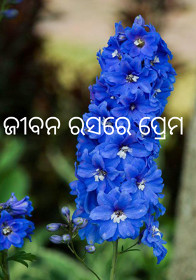 ଜୀବନ ରସରେ ପ୍ରେମ