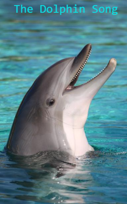 The Dolphin Song