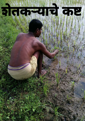 शेतकऱ्याचे कष्ट