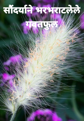 सौंदर्याने भरभराटलेले गवतफुल